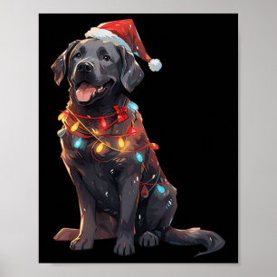 Poster Black Labrador Retriever Santa Hábito Luz de Natal
