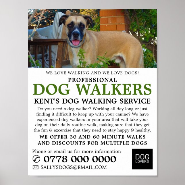 Poster Black Mouth Cur, Dog Walker Service Adtising (Frente)
