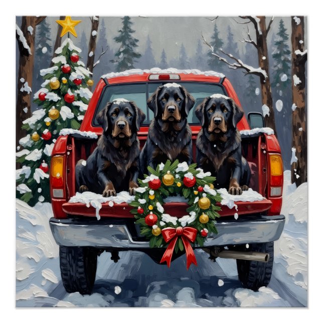 Póster Black Newfoundland Christmas Red Truck Holiday (Frente)