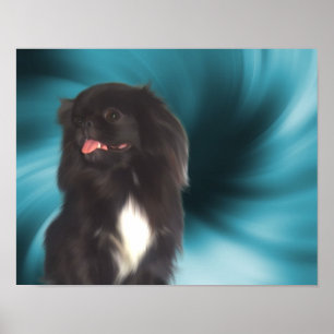 Poster Black Pekingese Blue Swirls Dog Art
