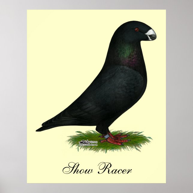 Póster Black Show Racer (Frente)