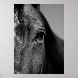 Póster Black & White Close-up Horse Eye Artwork