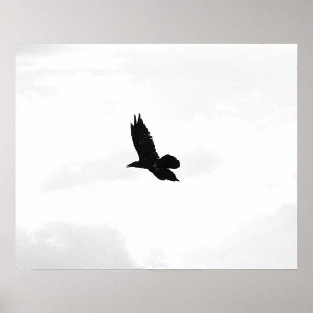 Poster Black & White Flying Black Raven 16x20 (Frente)