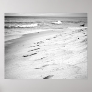 Poster Black & White Footprints in the Beach Sand 16x20