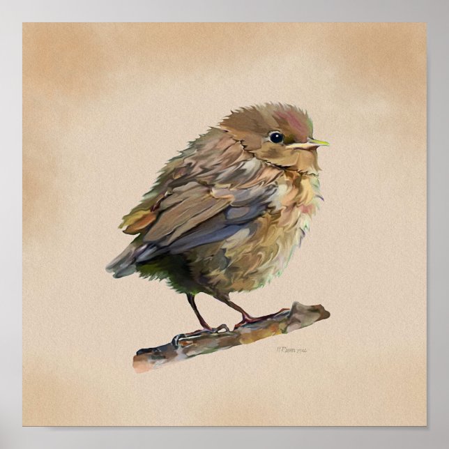 Poster Blackbird Fledgling` (Frente)