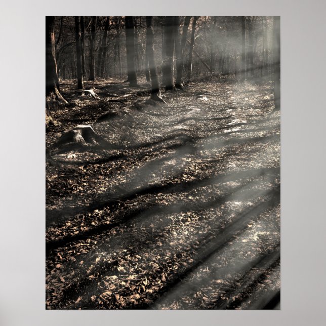 Póster Blair Witch...ali! (Frente)