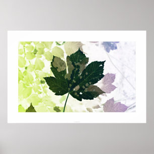 Poster Blatt