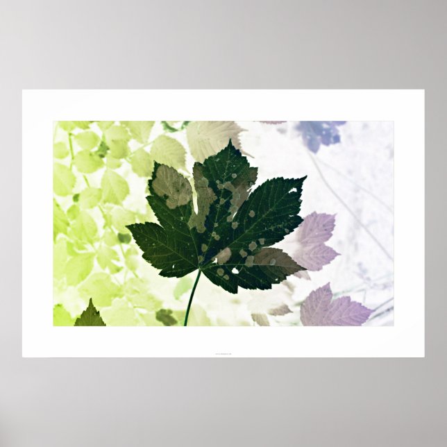 Poster Blatt (Frente)