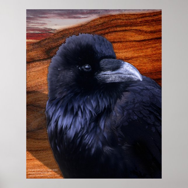 Poster Blazen Raven (Frente)