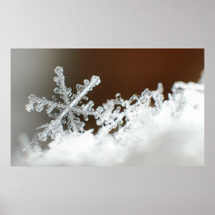 Póster Blizzard 2009 do Natal