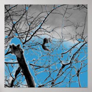 Poster Blizzard Squirel B+W