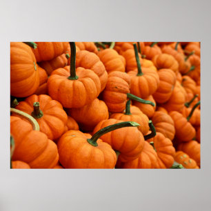 POSTER BLOCO DE PUMPKIN