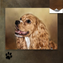 Poster Blonde Cocker Spaniel