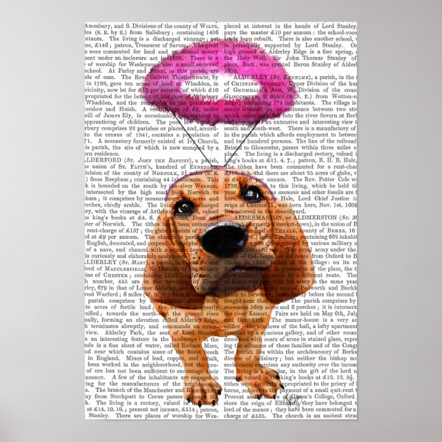 Poster Bloodhound Com Ângulo Rosa Ângico (Frente)