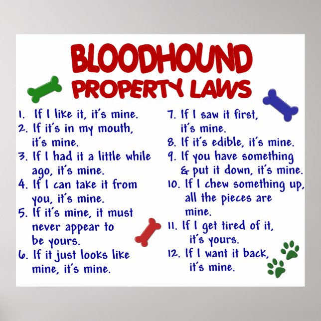 POSTER BLOODHOUND PL2 (Frente)