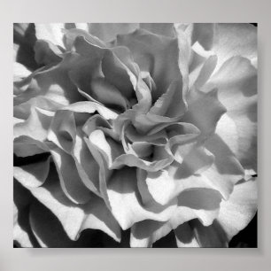 Póster Bloom #4