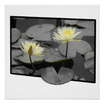 Bloom além da moldura Poster brilhante