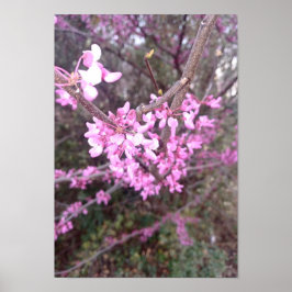 Poster Bloom de cheio