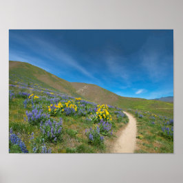 Poster Bloom de Primavera no alto deserto