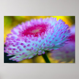 Póster Bloom Flower