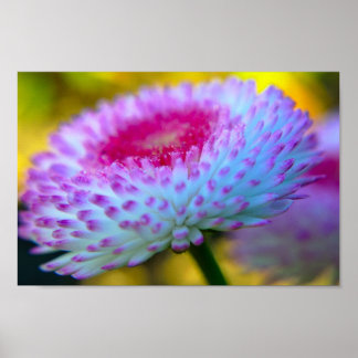 Póster Bloom Flower