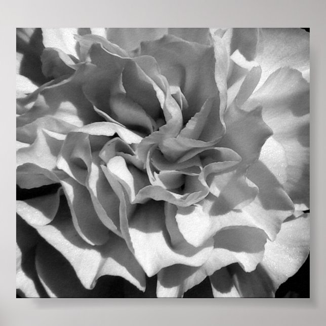 Póster Bloom nº 4 (Frente)