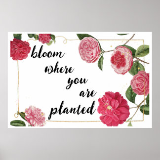 Poster Bloom Onde você está plantado