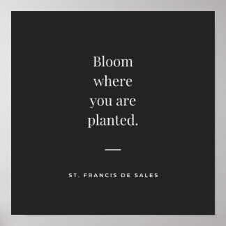 Poster Bloom onde você plantou Rua Francis de Sales