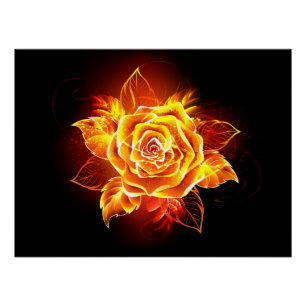 Póster Blooming Fire Rosa