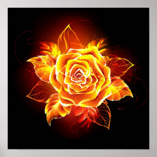 Poster Blooming Fire Rosa