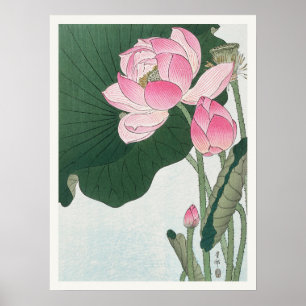 Poster Blooming Lotus Flowers Ohara Koson Arte Japonesa