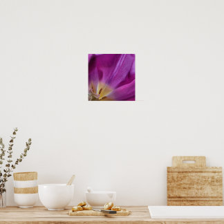 Poster Blooming Purple Tulip Print