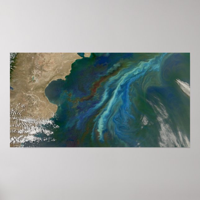 Póster Blooms no oceano por Patagônia (Frente)