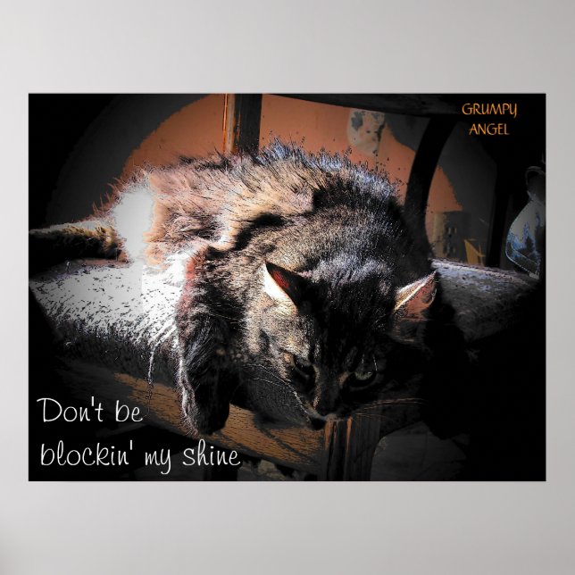 Póster Bloqueando meu brilho - Anjo rabugento (Frente)