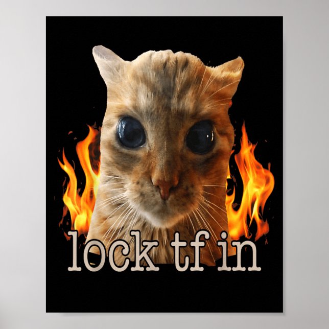 Poster Bloquear tf no gato (Frente)