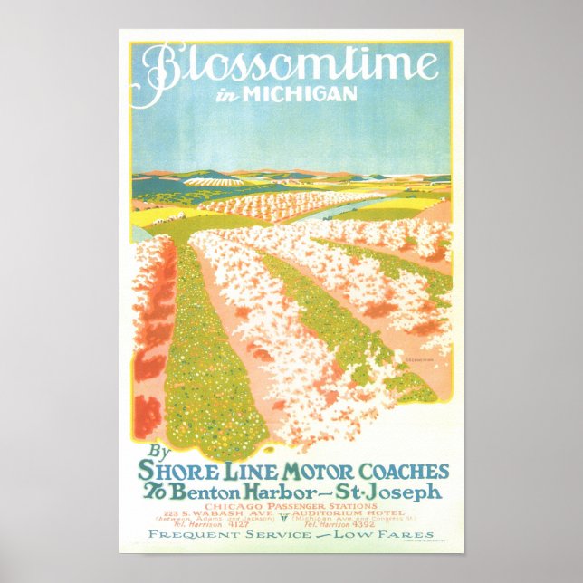 Poster Blossom Time em Michigan (Frente)