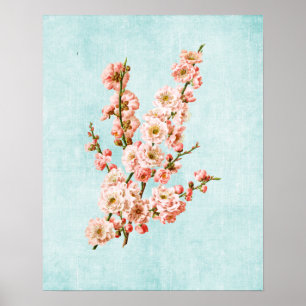 Poster Blossomas de ameixa em Denim Envelhecido