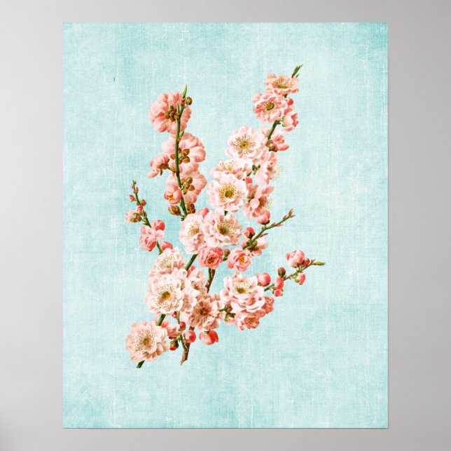 Poster Blossomas de ameixa em Denim Envelhecido (Frente)