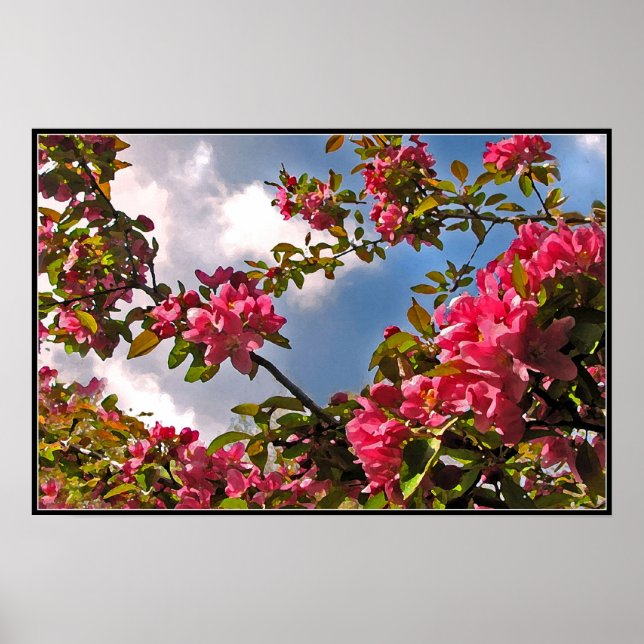 Póster Blossomas de maçã (Frente)