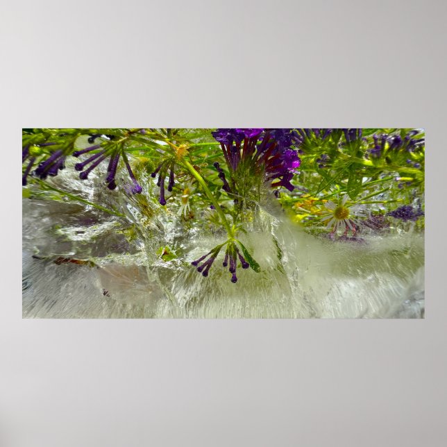 Poster Blossomas Forçados, (Frente)