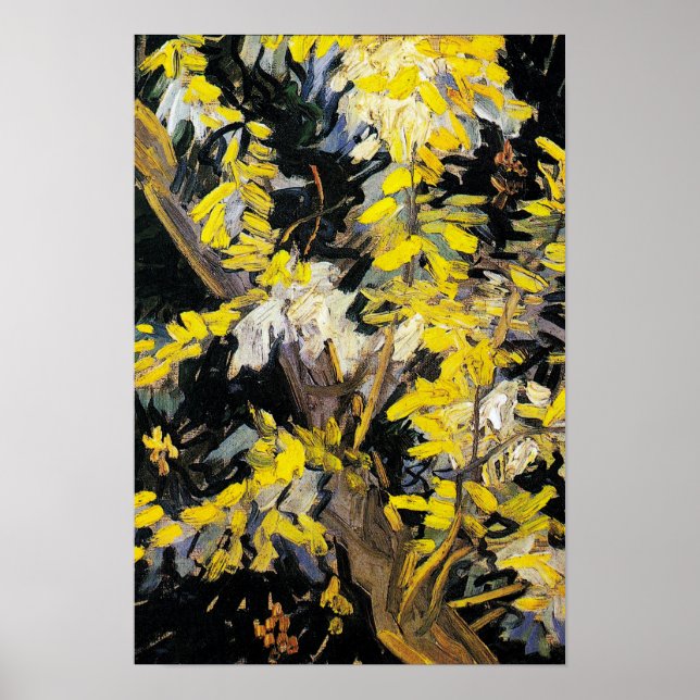Poster Blossoming Acacia Branches (1890) Van Gogh Art (Frente)