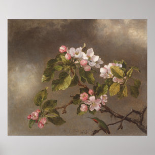 Poster Blossomo de Mingbird e Maçã