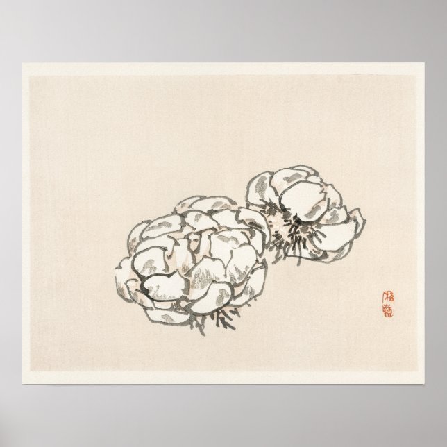 Poster Blossoms de Kōno Bairei (1844-1895) (Frente)