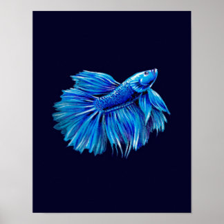 Poster Blue Betta Fish on Navy |Aquarium Lover
