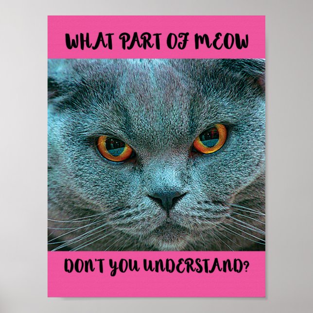 Poster Blue British Shorthair Cat engraçado e humorístico (Frente)