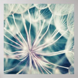 Poster Blue Eethal Dandalion Macro