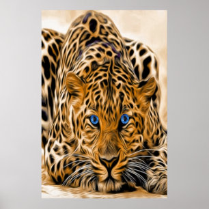 Póster Blue Eye Leopard
