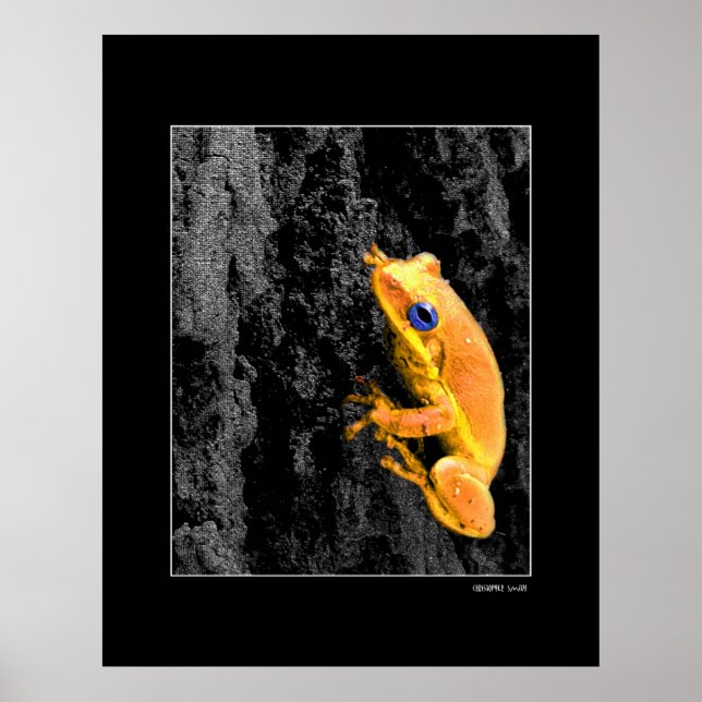 Poster Blue Eyes (Frente)