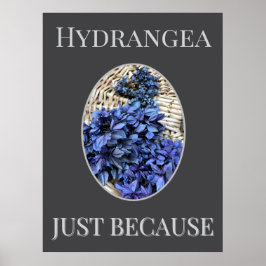 Poster BLUE Hydrangea