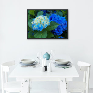 Póster Blue Hydrangea Blooms Floral Glossy